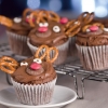 Chocolate Rudolph Cakes Recipe
