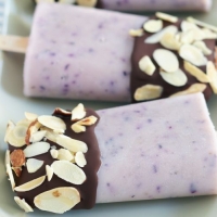Apple and Green Tea Yoghurt Ice Pop Recipe