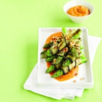 Asparagus Aubergine Wraps with Romesco Sauce Recipe