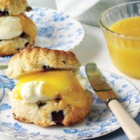 Blueberry and Lemon Curd Scones Recipe