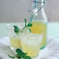 Honeyed Lemonade with Mint Recipe