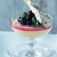 Lemon Verbana Posset with Blueberry Compote and Meringue Shard Recipe