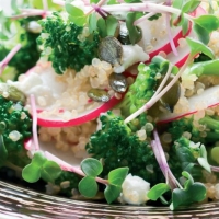 Organic Quinola, Broccoli, Radish and Feta Salad Recipe