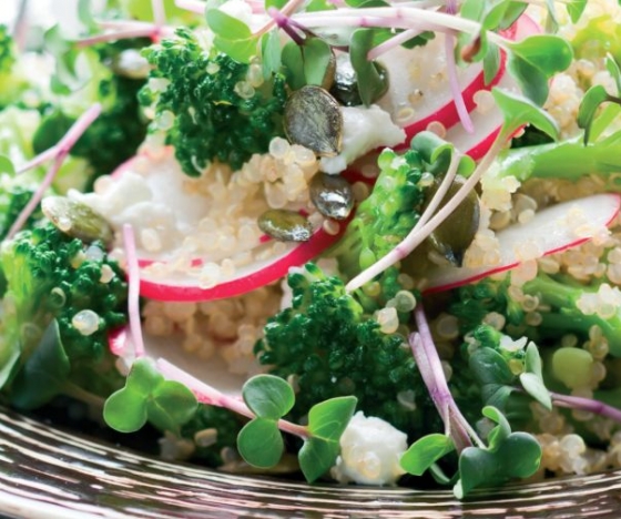 Organic Quinola, Broccoli, Radish and Feta Salad Recipe