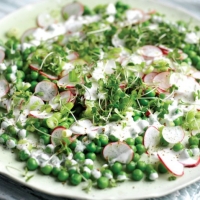 Radish and Pea Salad Recipe