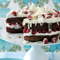 Raspberry and Double Chocolate Cake Recipe
