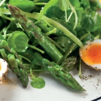 Steamed Asparagus and Quail’s Egg Salad Recipe
