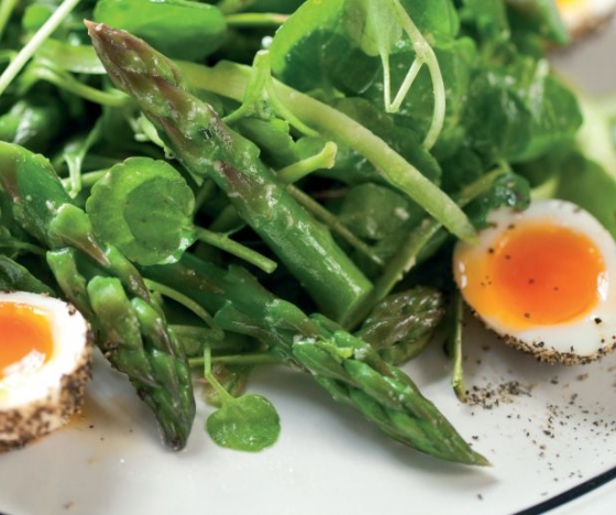 Steamed Asparagus and Quail’s Egg Salad Recipe