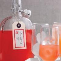 Strawberry Gin Recipe