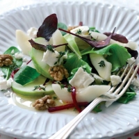 Summer Apple and Pear Salad Recipe