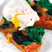 Tomato-rubbed Toast Recipe