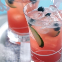 Vegetarian recipes made with Elderflower | Recipe-IDEAS