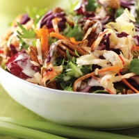 Red Cabbage and Apple Slaw Recipe